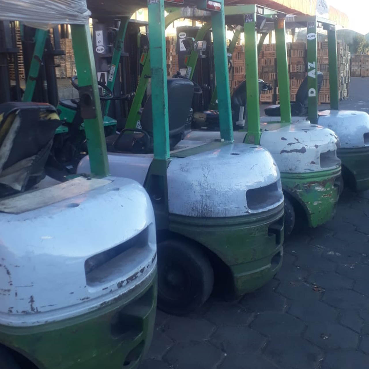 Autoelevadores verdes Dilaz